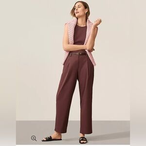 NWT Ann Taylor Petite Pleated Chino Pants, 12P - Brown, Cotton